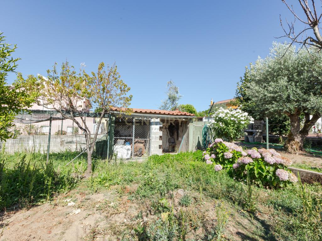 Moradia T4 Isolada com Jardim e Garagem em Olalhas – Tomar - Image 35