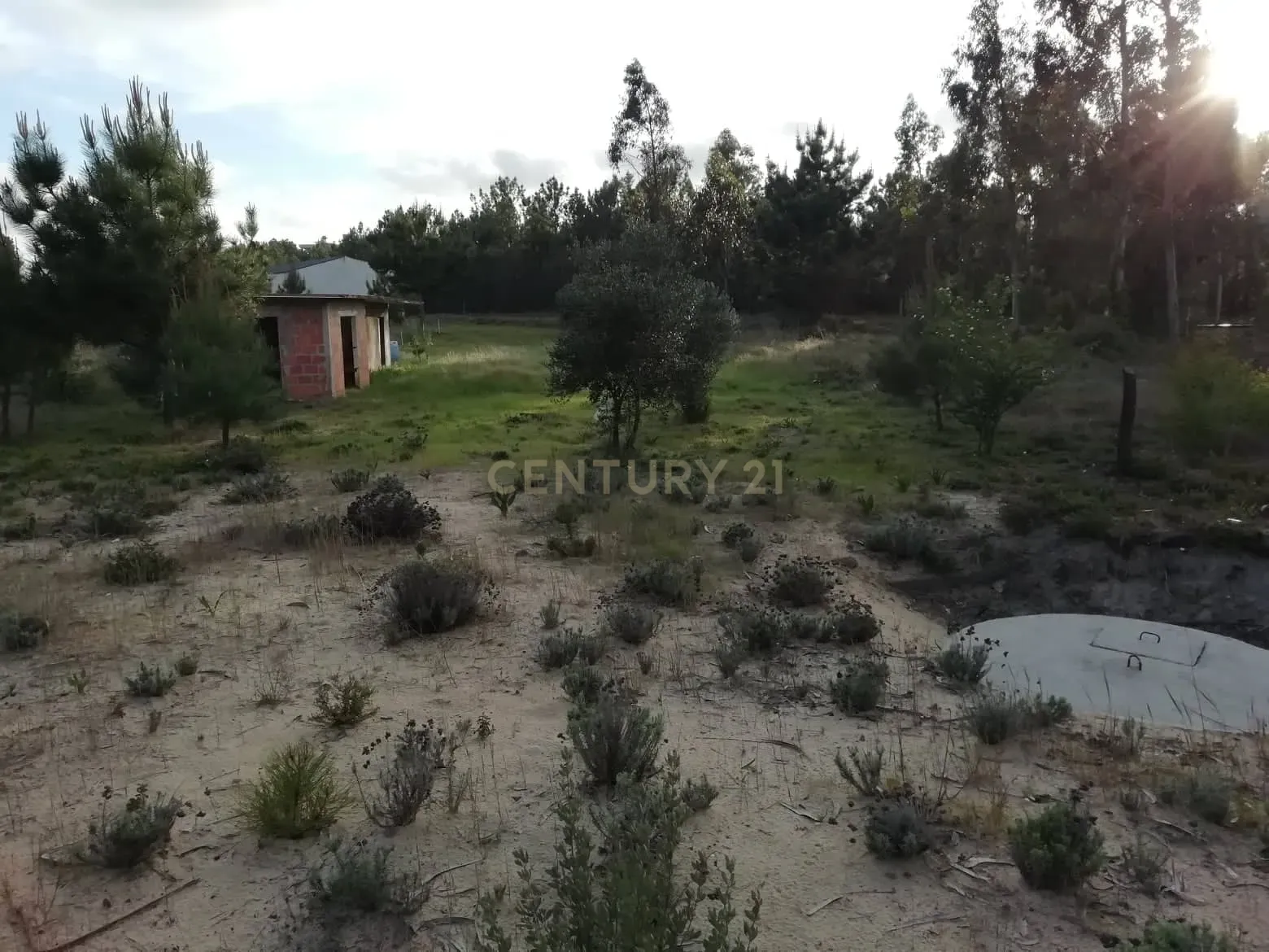 Terreno Rustico - Image 1