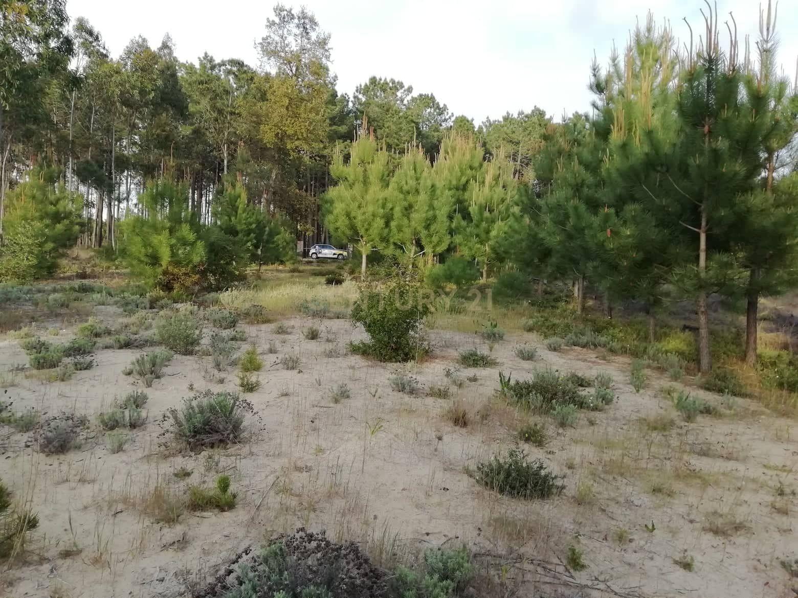 Terreno Rustico - Image 6