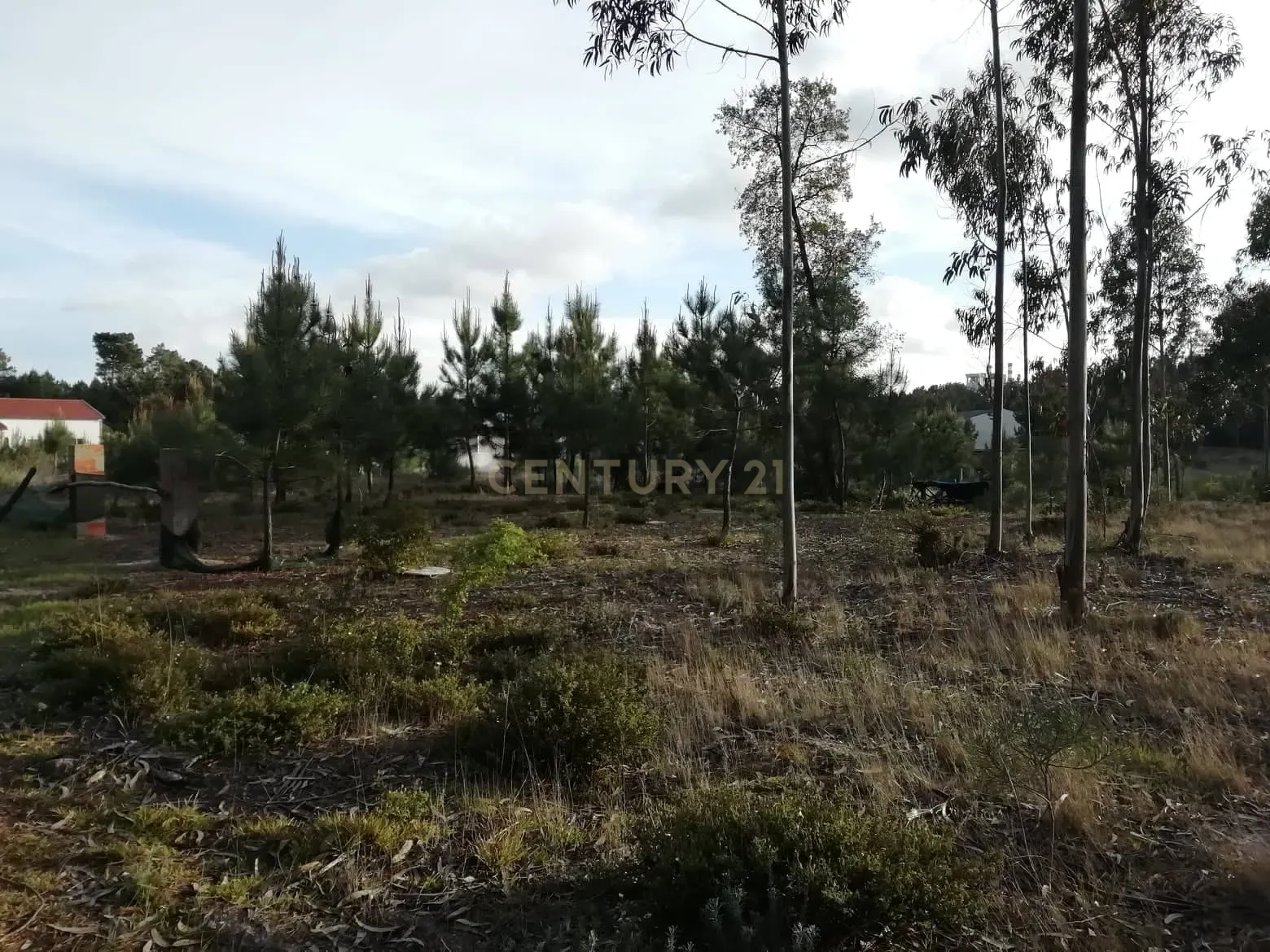 Terreno Rustico - Image 7