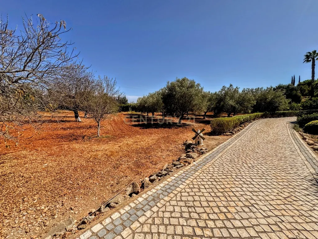MORADIA DE LUXO PARA VENDA PECHÃO ( VALE DE MÓ) - Image 36