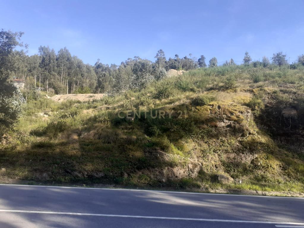 Terreno para construção - Torrão - Marco de Canaveses - Image 13