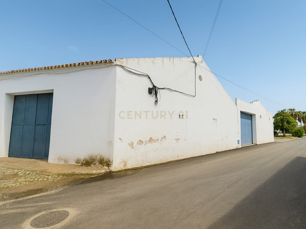 Armazéns em Alfundão - A sua porta de entrada para o Baixo Alentejo — Localizados perto da autoestrada e do aeroporto de Beja - Image 10