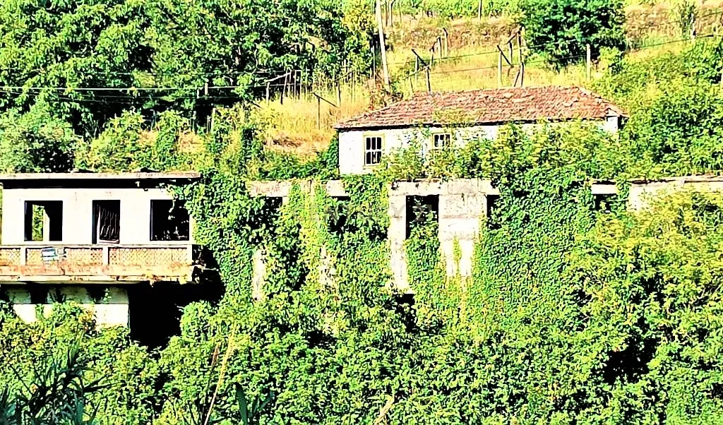 Grande moradia em ruina com terreno junto ao ribeiro, para reconstrução, nas Lages, em Stª Marinha do Zêzere, Baião, Porto. - Image 1