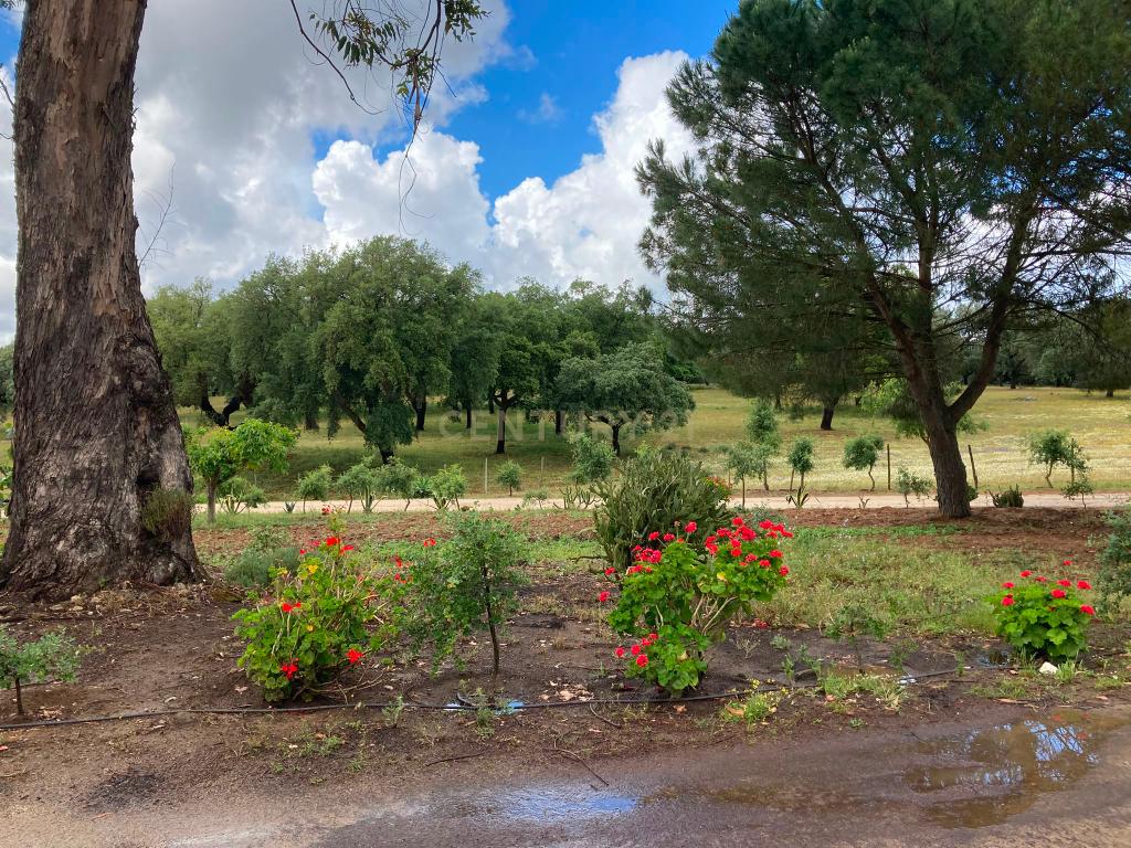 Herdade da Pedra Longa — Um Património Único no Coração do Alentejo - Image 46
