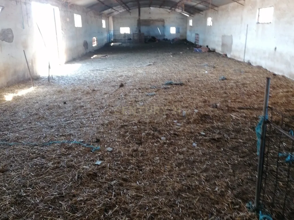 Beja, 2040,150 m2 de Armazéns Diversos instalados em 7190,690 m2 de terrenos Urbanos e ainda 2,5 hectares de terrenos Rústicos - Image 13