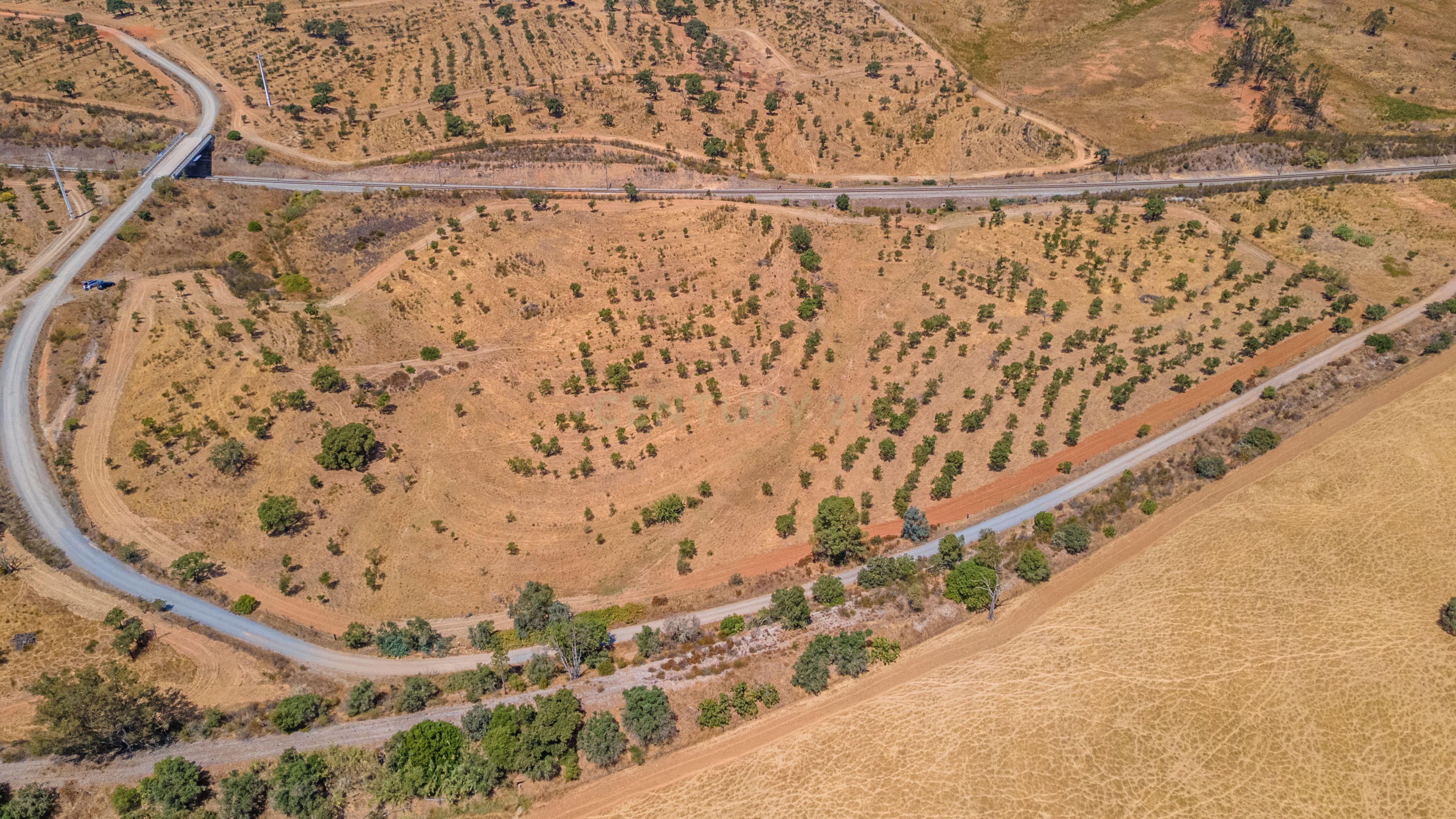 Fotografia 7 de Terreno Rústico com Potencial de Valorização e Rentabilidade – Azinheira dos Barros e São Mamede do Sádão