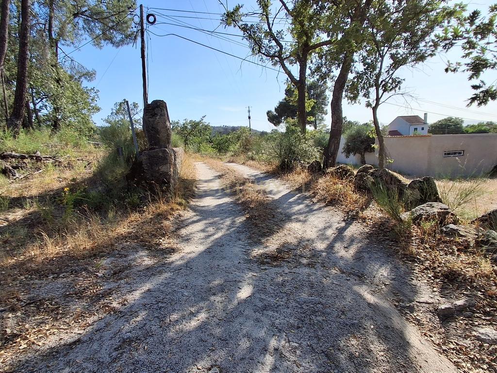 Terreno Rústico, 3800m2 em Aldeia do Bispo, Penamacor - Image 5