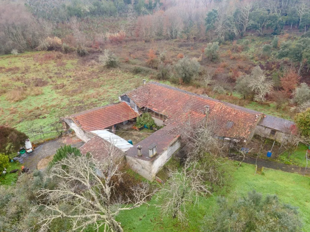 Quinta T5 em Poiares, Vila Nova de Poiares - Oportunidade Única - Image 61