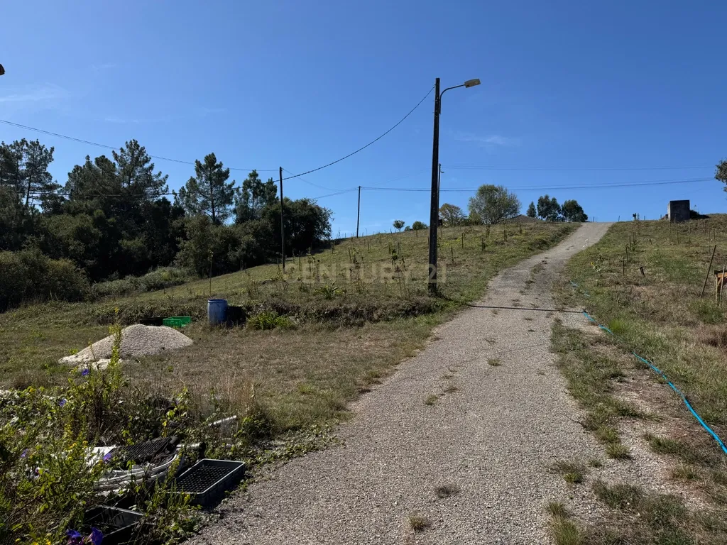 Moradia em ruína com 5.570 m² de terreno em Alvorninha - Image 8