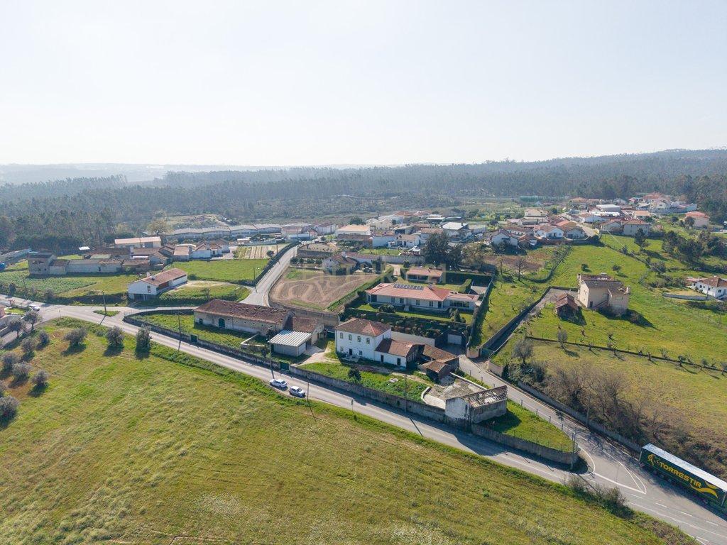 Adega