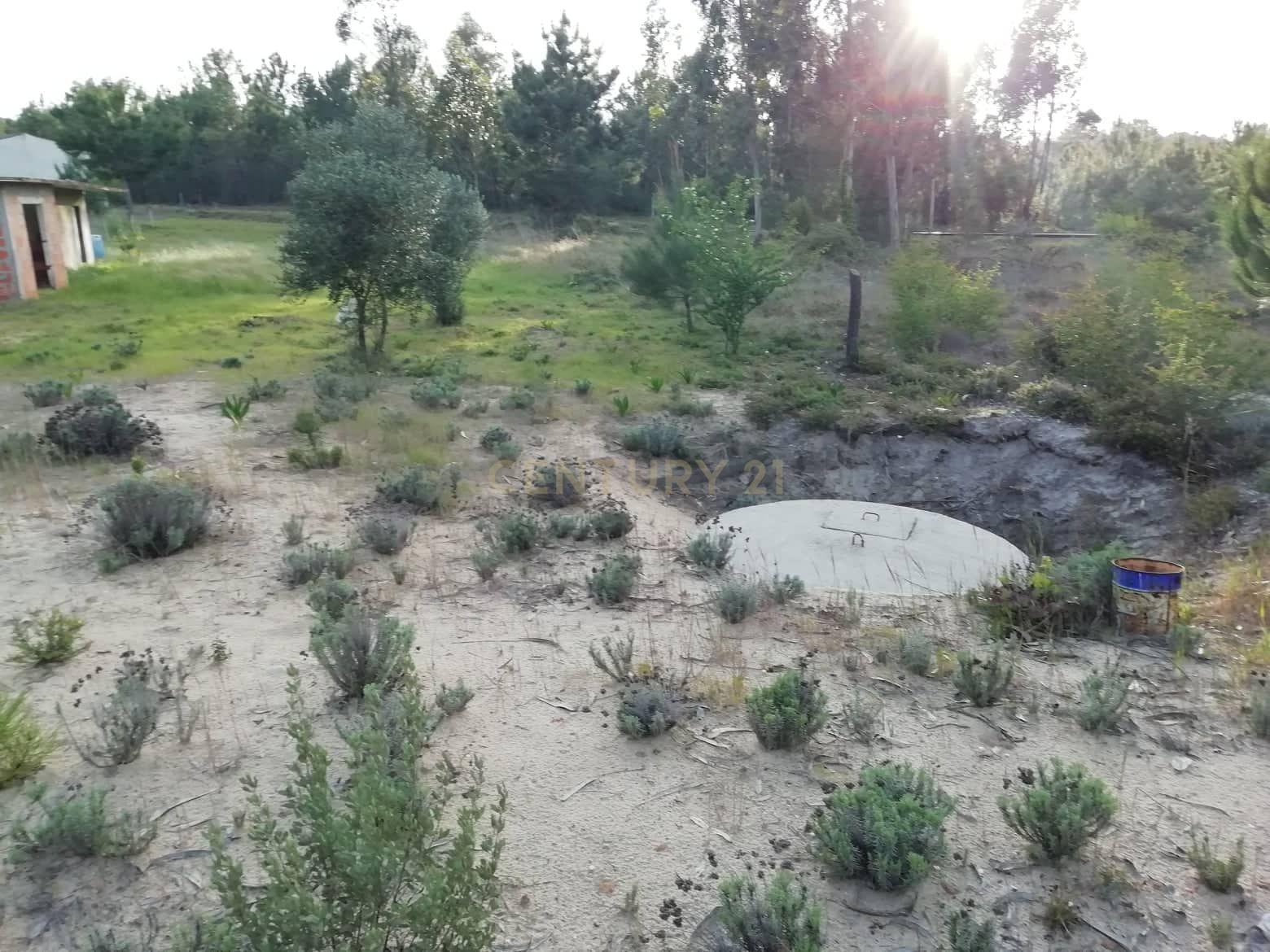 Terreno Rustico - Image 8