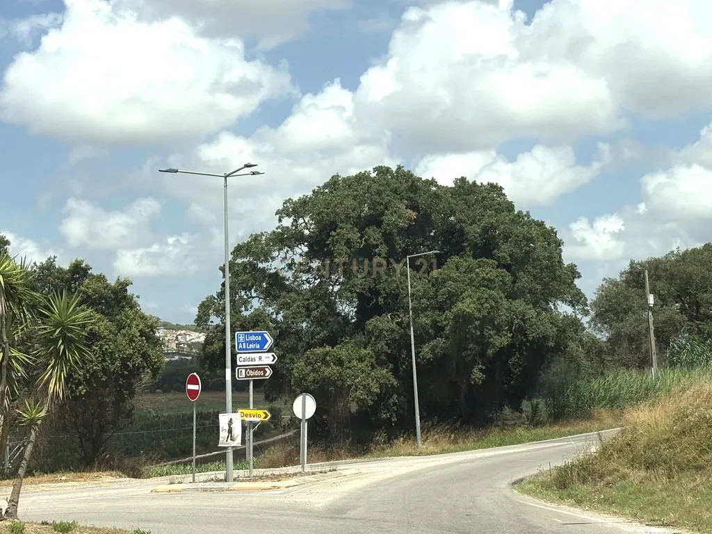 Moradia T4 de térrea à venda em A dos Negros - Óbidos - Image 56