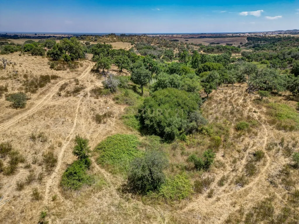 Herdade com 59,225 ha , 687m2 urbano, nascente de água, em Colos, Odemira - Image 31