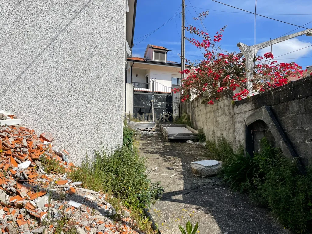 Propriedade junto ao Freixo - Image 3