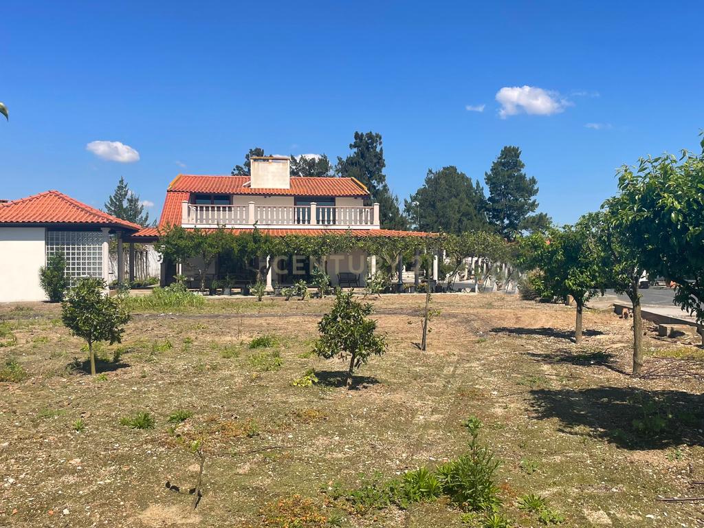 Quinta Rústica em Benavente - Image 11