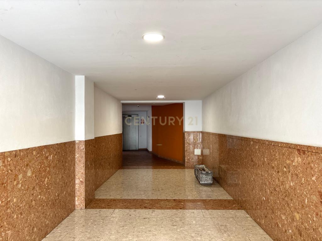  - Image 4