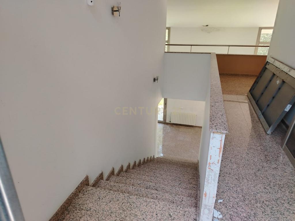  - Image 6