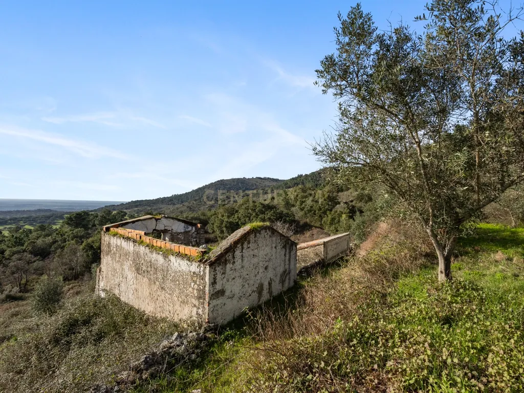Moradia com Terreno em Portalegre - Image 22