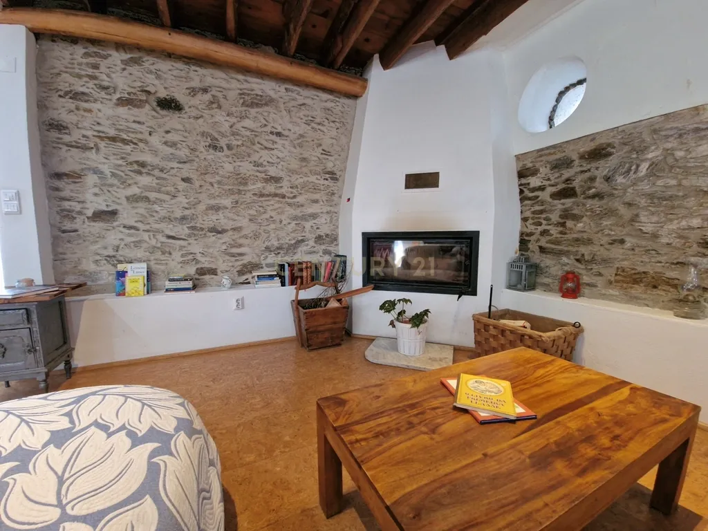 Encantadora propriedade rural | Oportunidade única de investimento - Olalhas, Tomar - Image 3