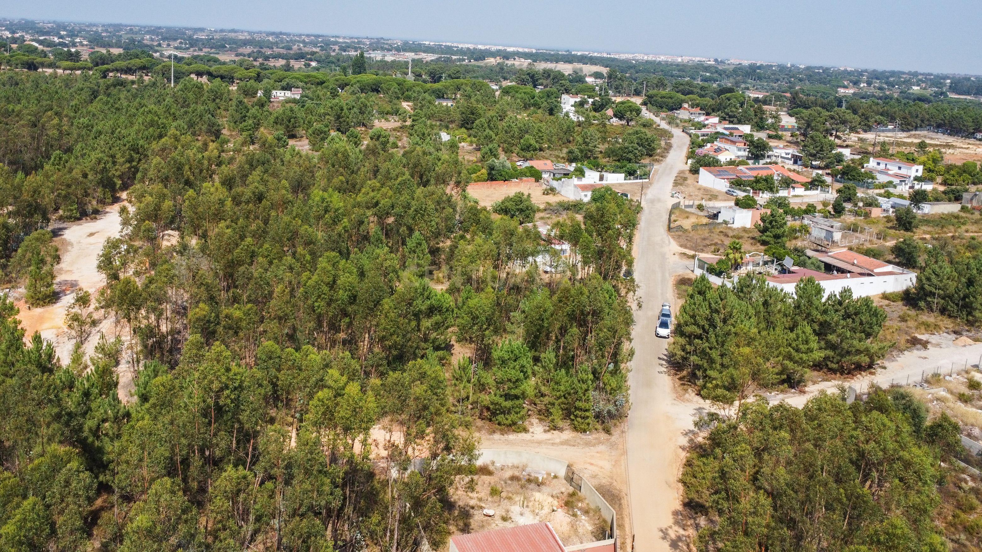 Fotografia 2 de Lote de Terreno com Elevado Potencial de Construção – Herdade do Pinhal das Formas, Quinta do Anjo