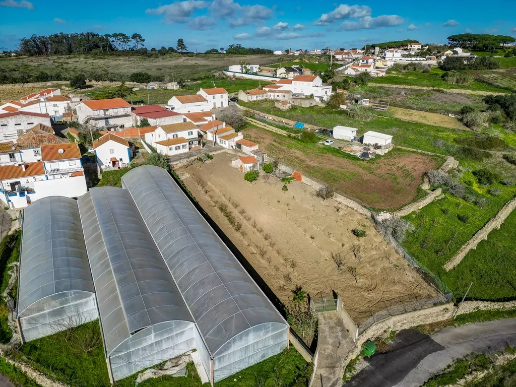 Moradia Isolada T3 com 2480m2 de terreno, poço e com anexos - Image 64