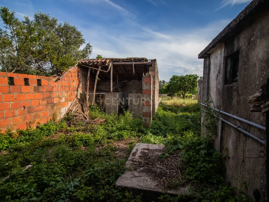 Moradia para Reabilitar com Terreno de 2.590m² em Gatões – Montemor-o-Velho - Image 29
