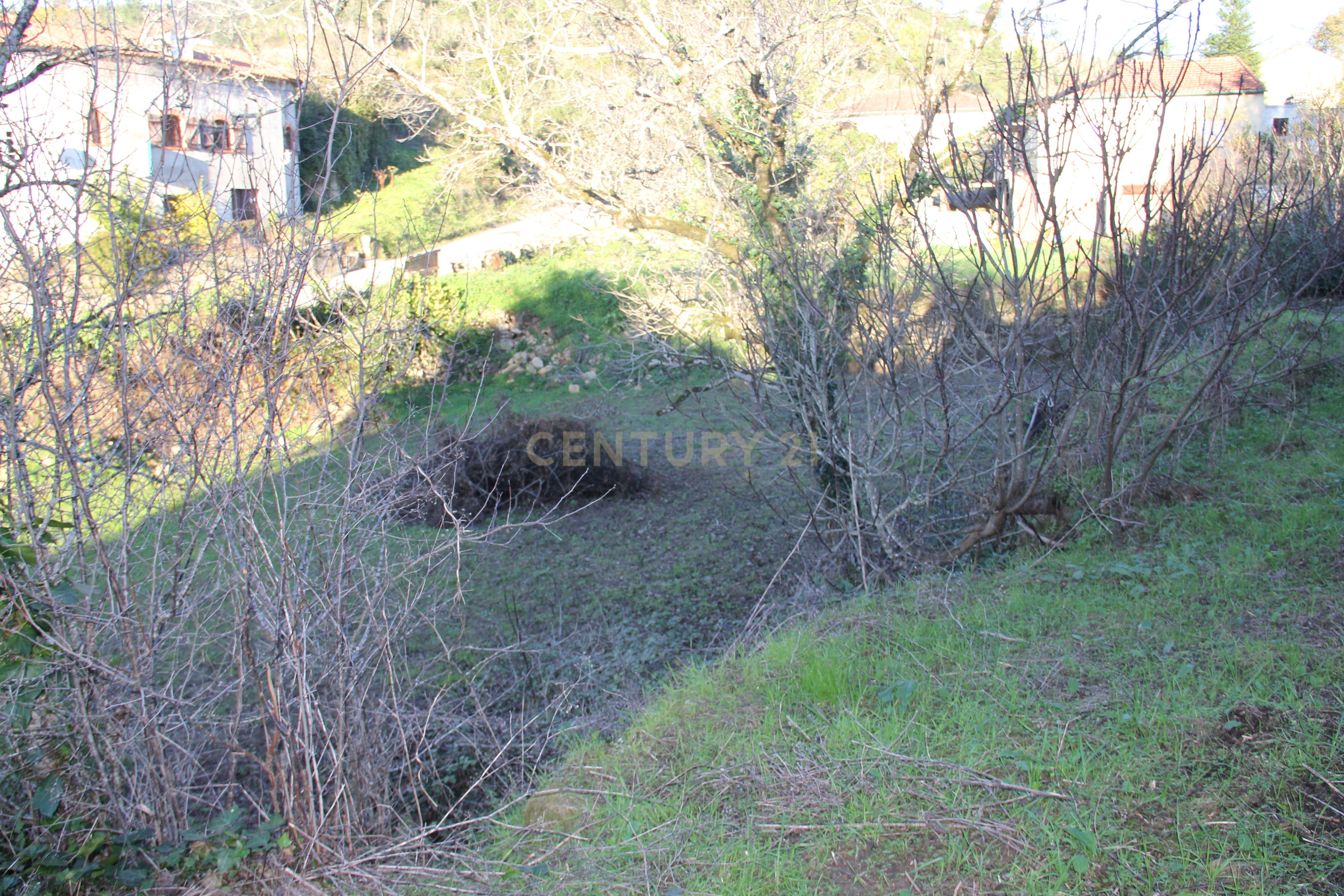 Fantástico terreno para moradia - Image 15