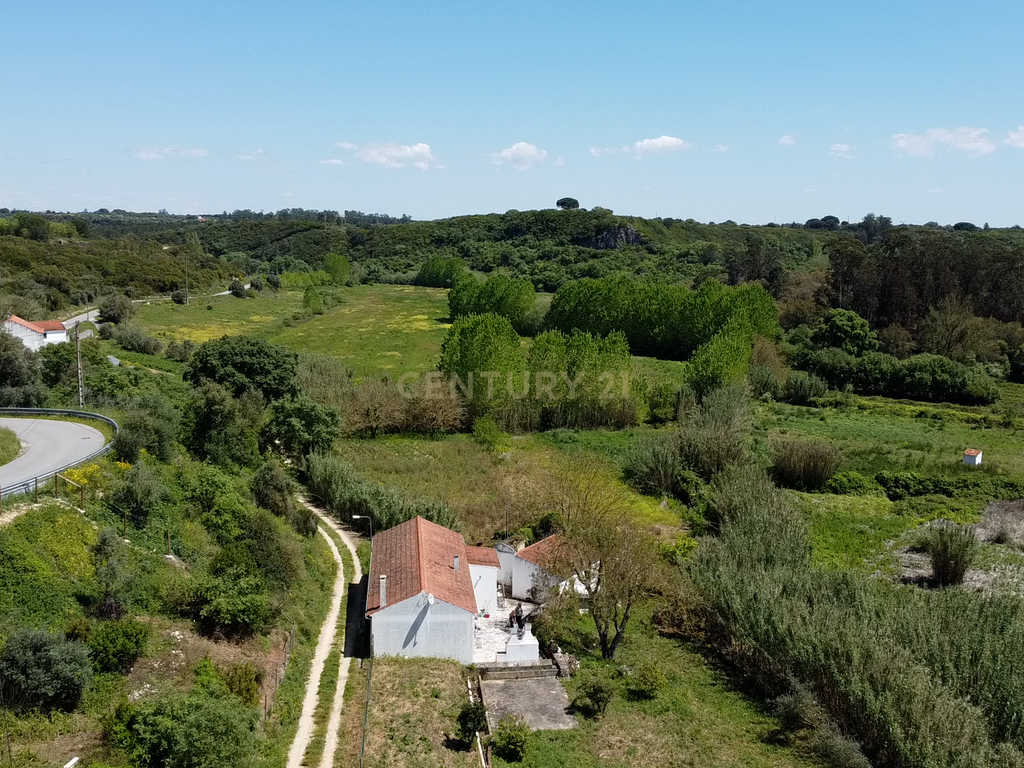 Bela Casa de Campo em Santarém  - Image 2