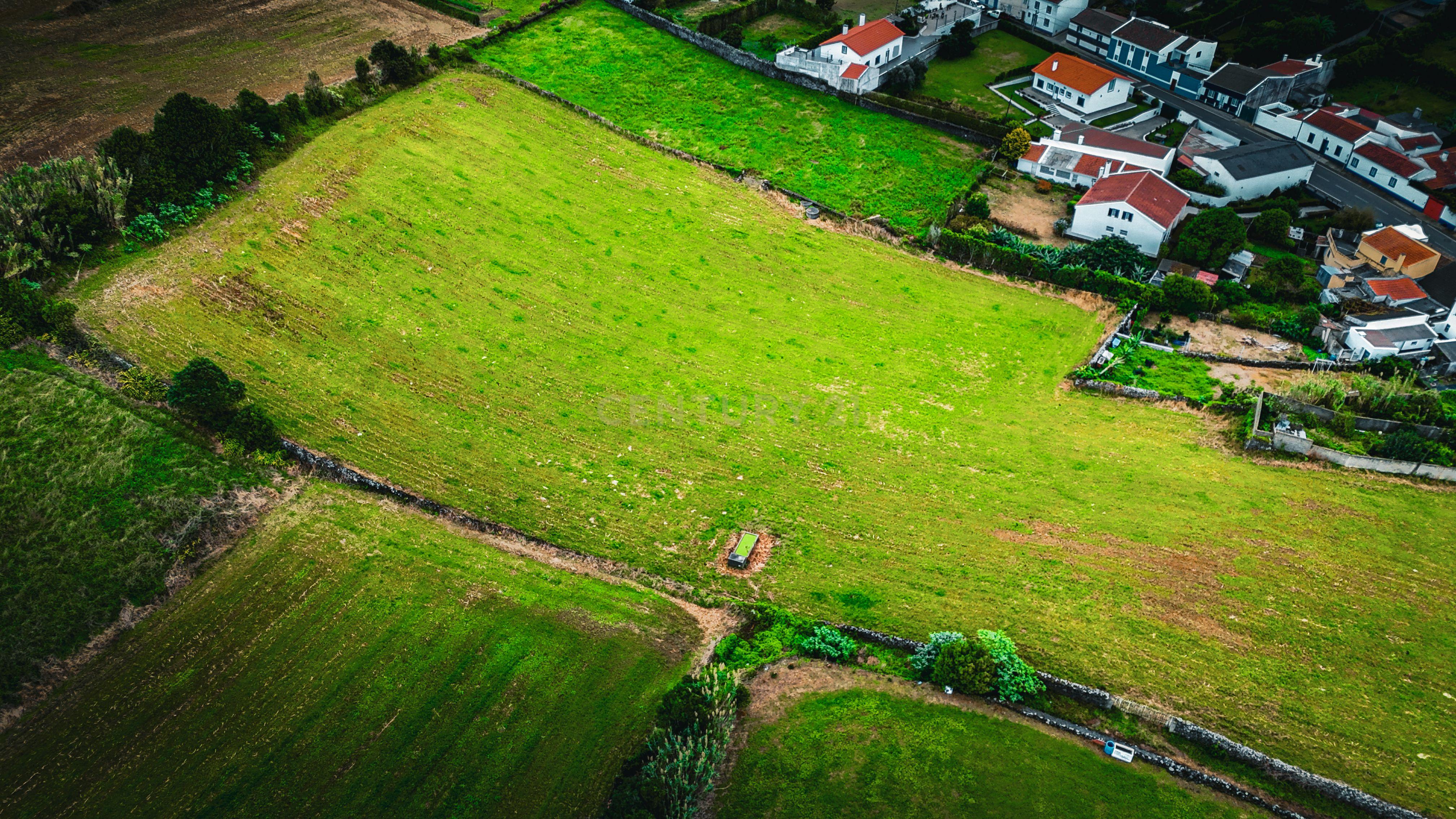 Fotografia 4 de Terreno com Potencial de Construção – Pico do Fogo de Cima, Livramento