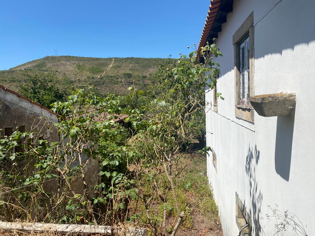 Casas Senhoriais Início Sec XIX + Terreno 4100m2 | 20 minutos de Coimbra - Image 35