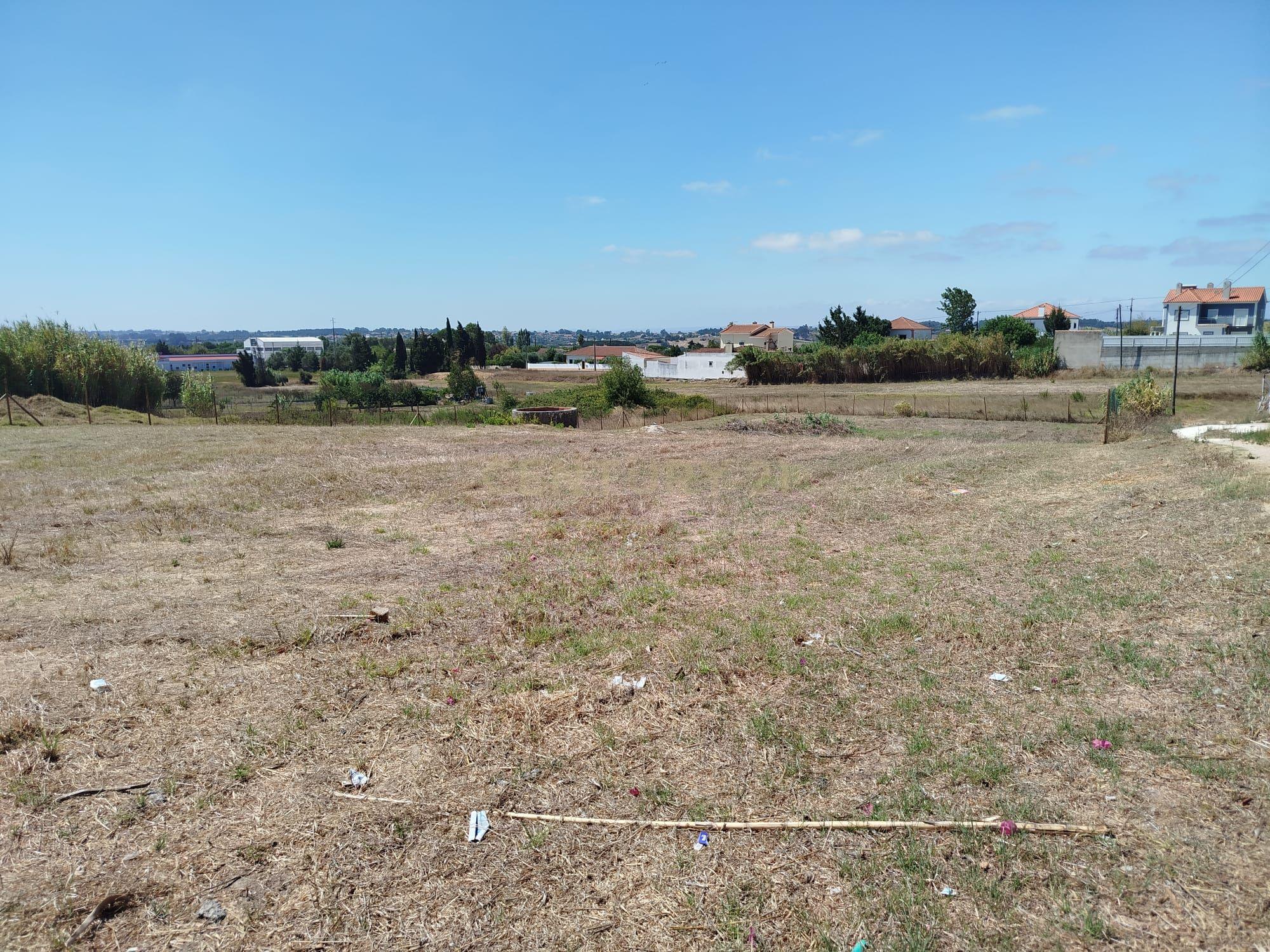 Fotografia 7 de Terreno com Projeto Aprovado Moradia T3 em Ereira, Cartaxo