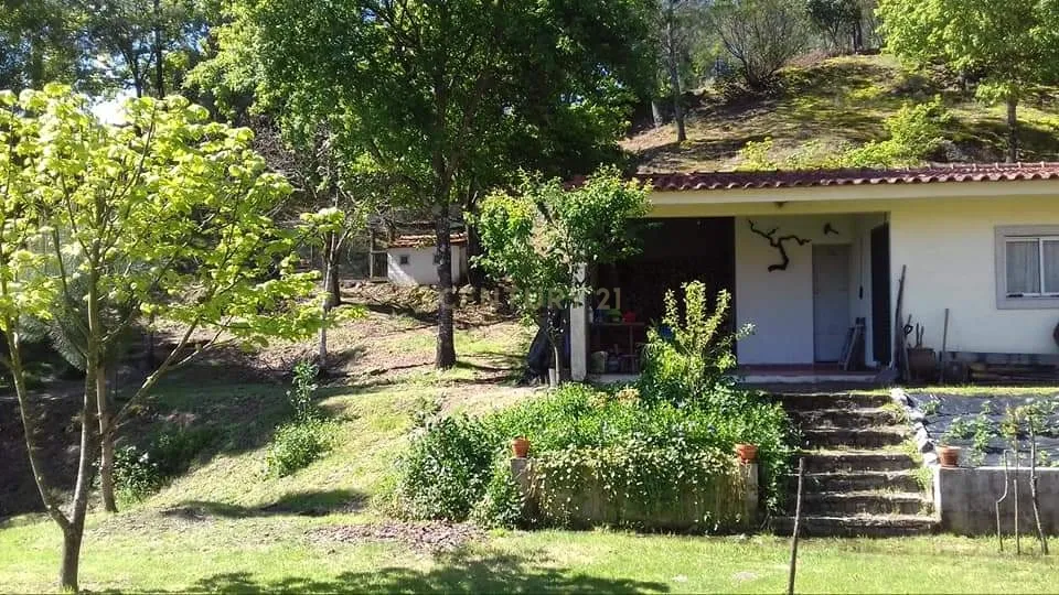 Quinta com cerca de 19.000 metros quadrados - Image 13