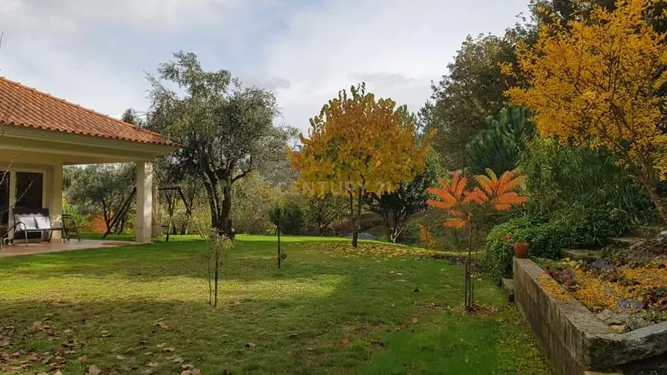 Quinta com cerca de 19.000 metros quadrados - Image 14
