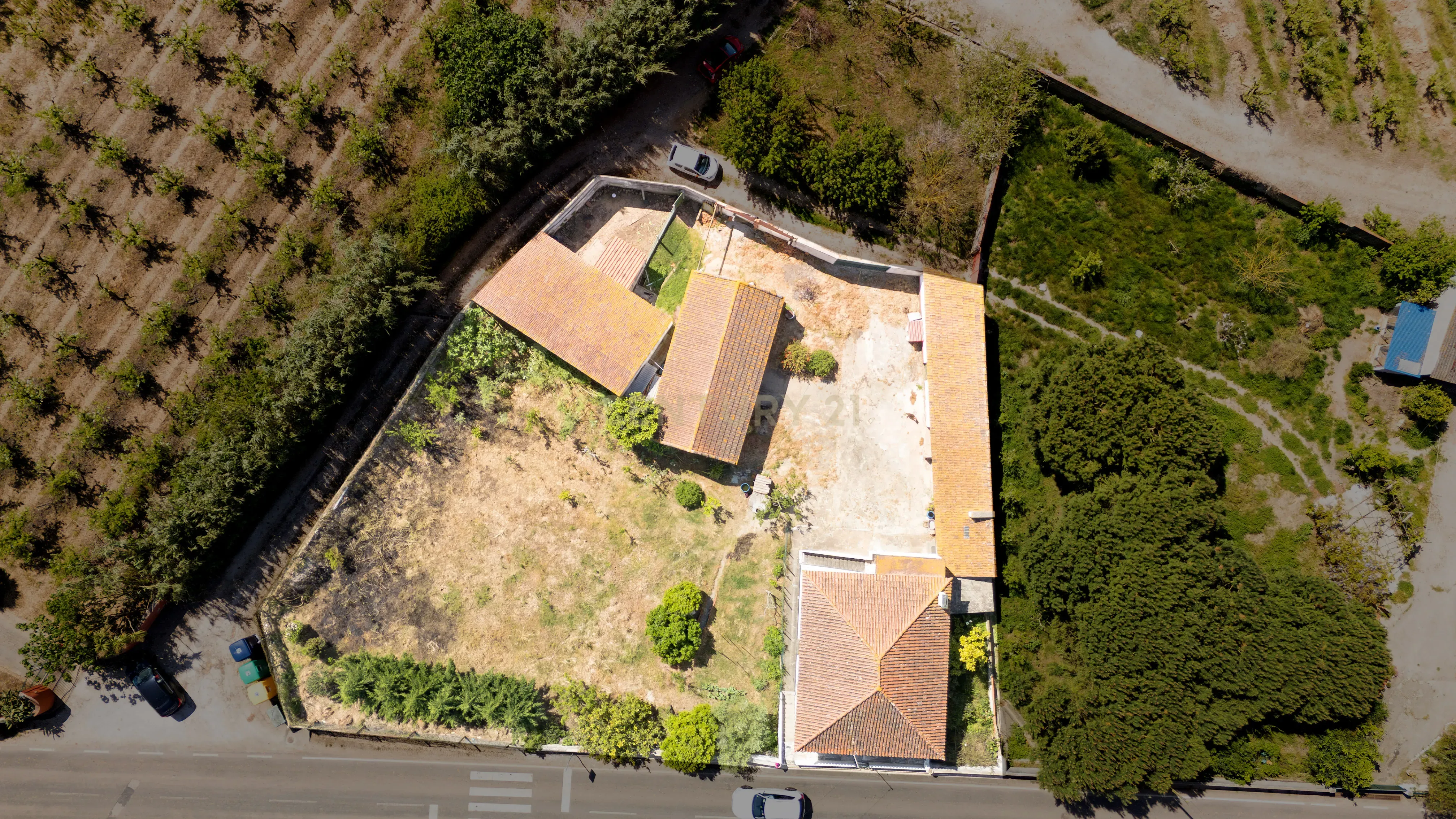 Moradia com Terreno e Anexos no Sobral do Parelhão – Bombarral - Image 3