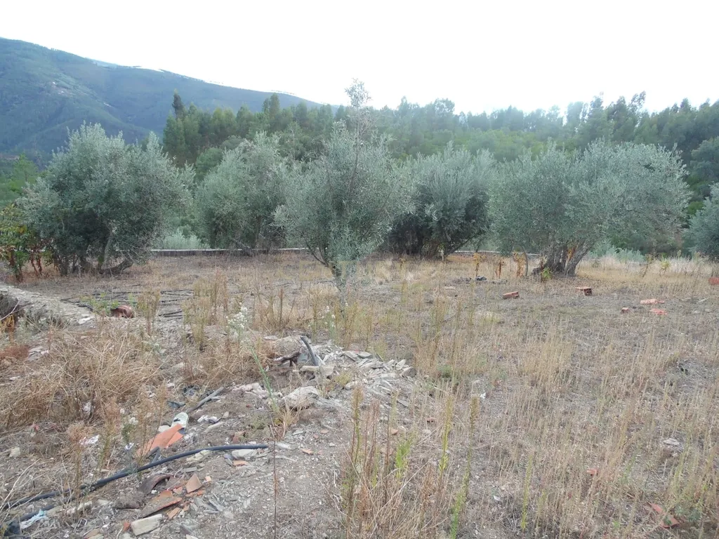 Refúgio de charme na natureza – Moradia T2 com terreno em Pampilhosa da Serra - Image 13