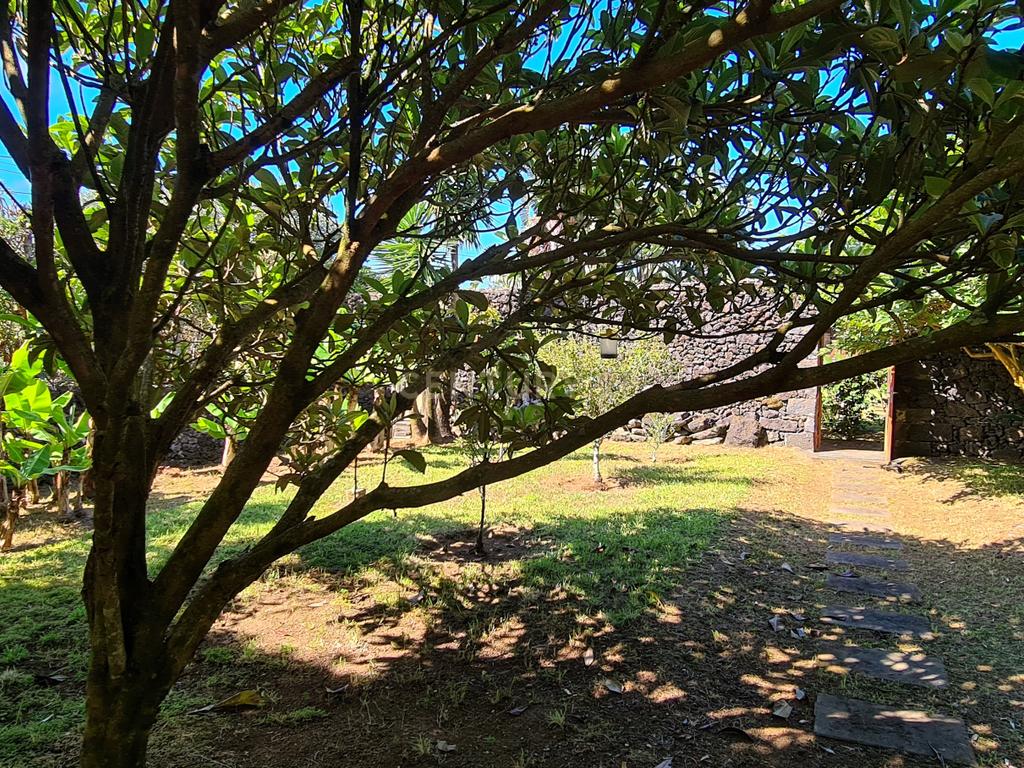  Country House em São Miguel, Açores: Refúgio Privado de Charme com piscina e quinta - Image 81