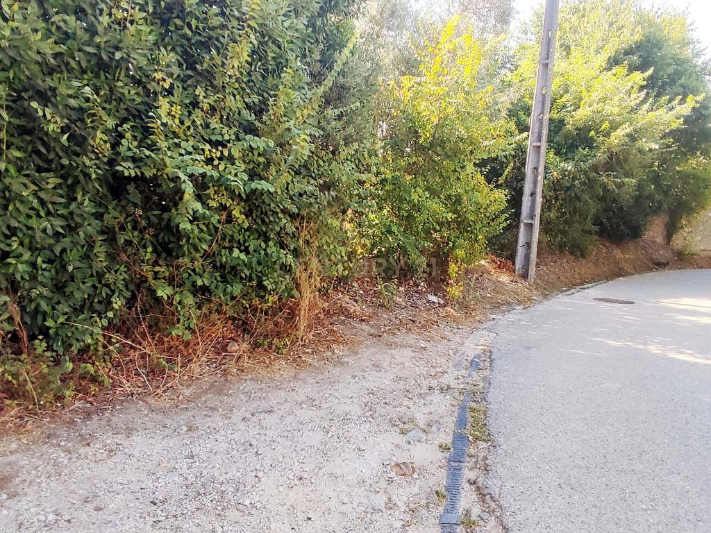 Terreno para construção de moradia em Geria, às portas da cidade de Coimbra - Image 3