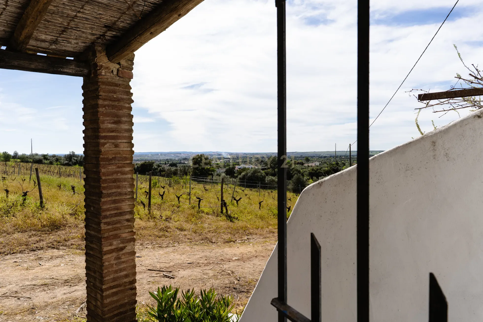Fotografia 5 de Monte típico 15ha Reguengos Monsaraz "Corval" 5 divisões, piscina e vinha