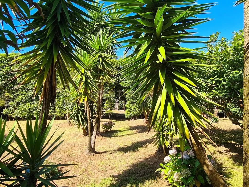 Country House em São Miguel, Açores: Refúgio Privado de Charme com piscina e quinta - Image 85