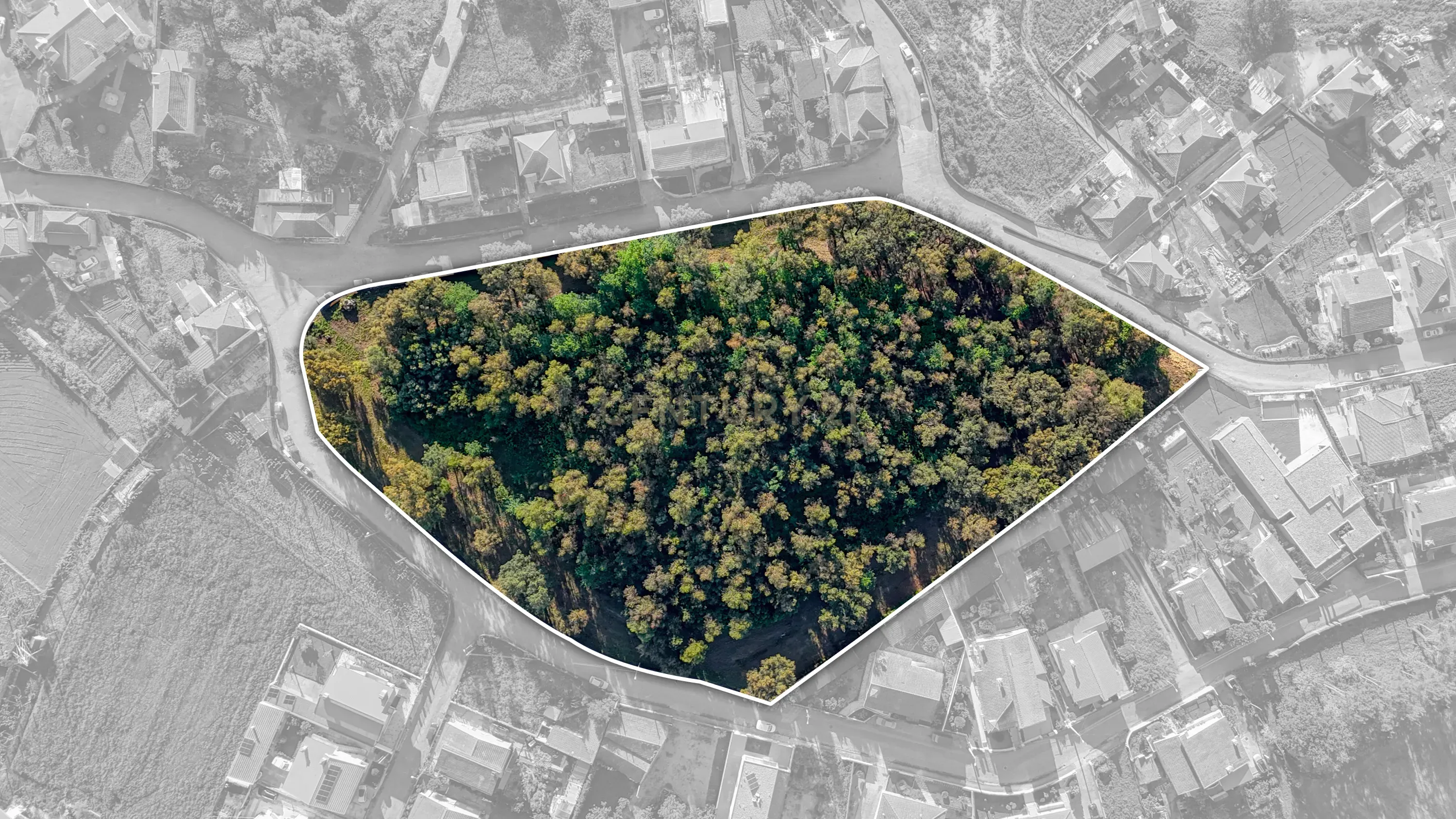 Terreno com 14.000m2 próximo ao Centro de Santo Tirso - Image 6