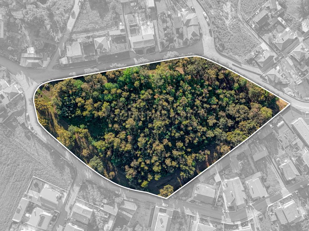 Terreno com 14.000m2  próximo ao Centro de Santo Tirso - Image 6
