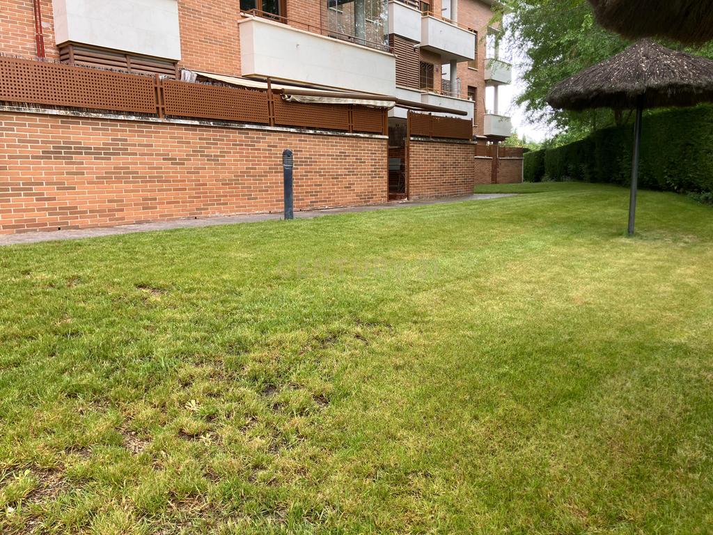  - Image 18