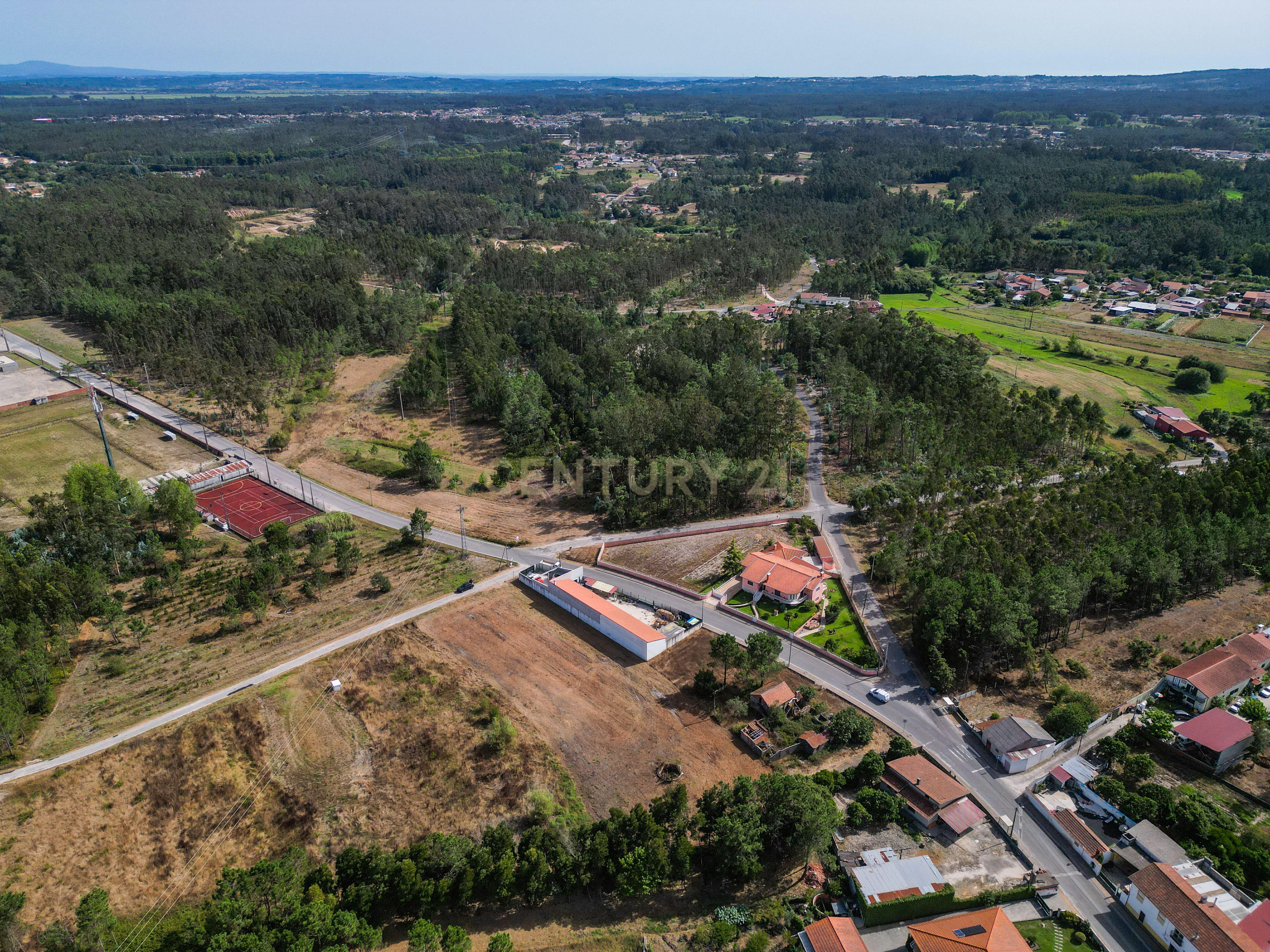 Fotografia 6 de Terreno com viabilidade de construção em Queridas, Ferreira-a-Nova, Figueira da Foz