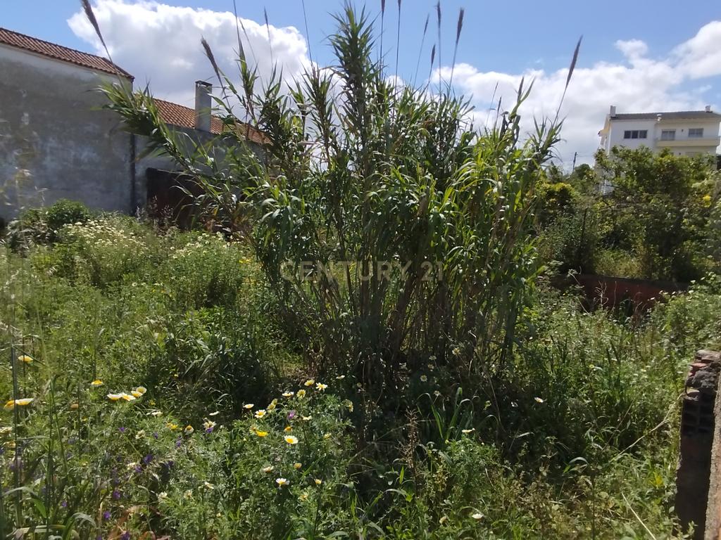 Terreno Urbano com 325m2 – Charneca da Caparica - Image 4