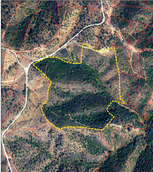 Investimento Rural: 20 Hectares com Rendimento - Image 3