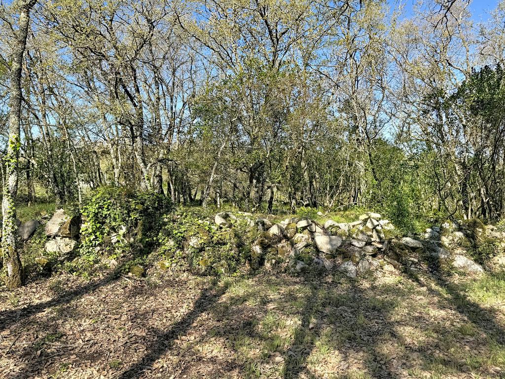 O lugar ideal para construir em plena natureza – Alcobaça - Image 20