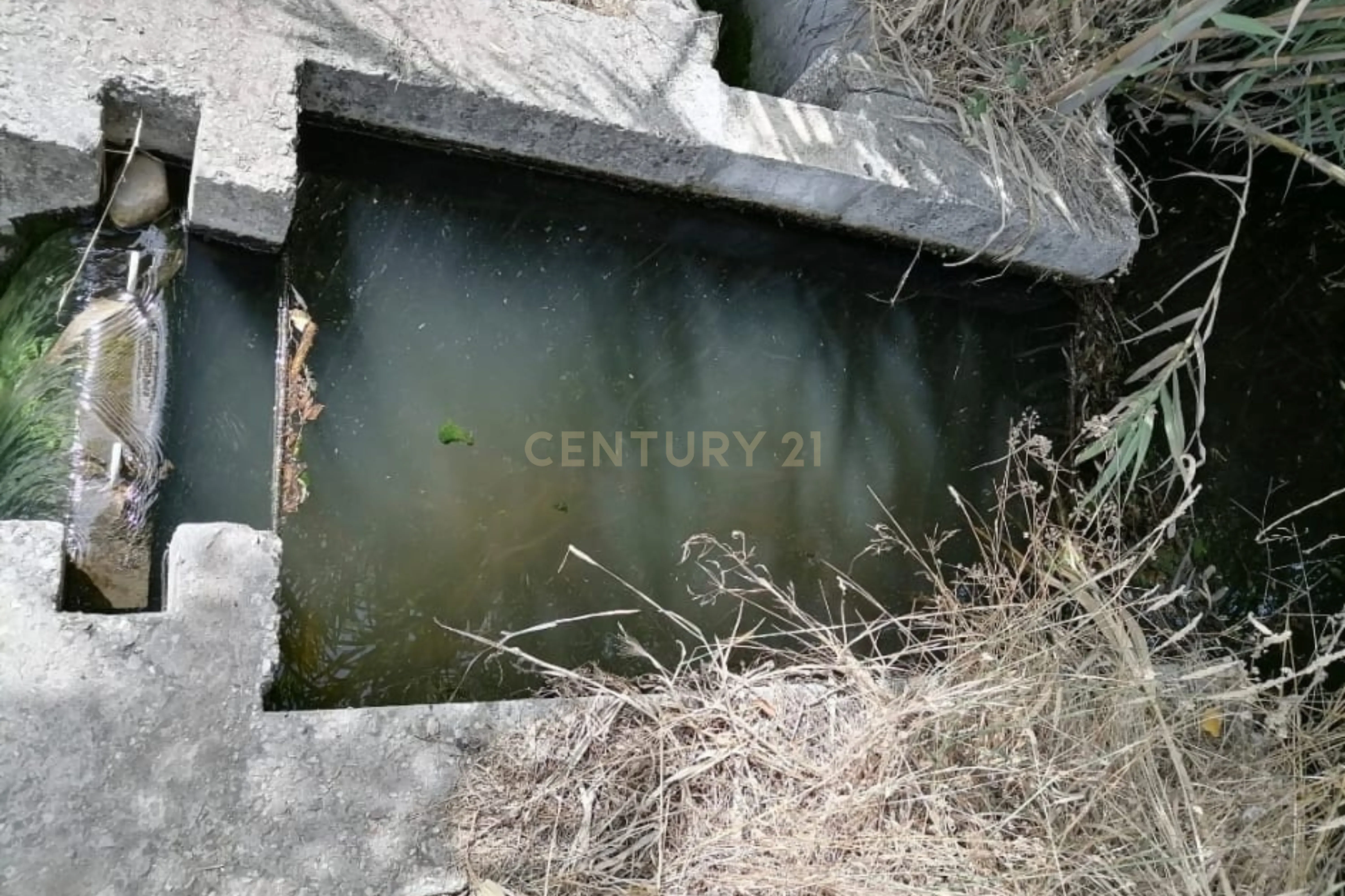 Fotografia 8 de Terreno Agrícola em Gavião, Portalegre - 2500m² com casa