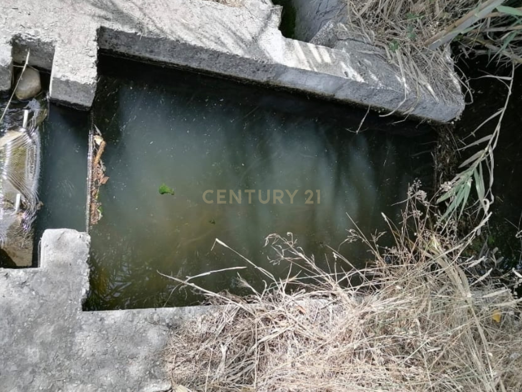 Terreno Agrícola em Gavião, Portalegre - 2500m² com casa - Image 8