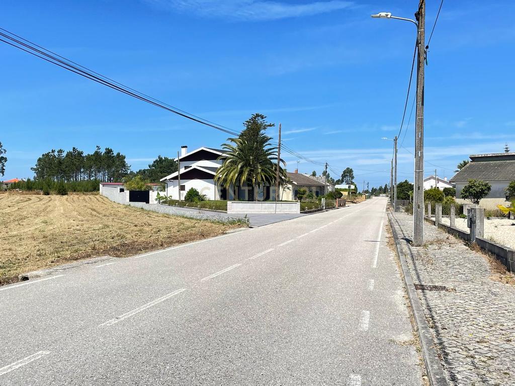 Terreno  para construção -Grou-Guia-Pombal - Image 6